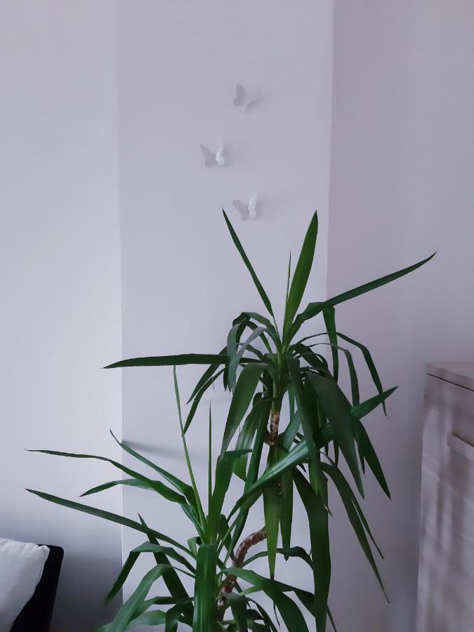 Mariel Holiday Home Levico Terme Dış mekan fotoğraf